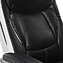 Serta Lautner Ergonomic Bonded Leather Swivel Executive Chair, Black/Cream (44942)~#|#~EEAD531A-971B-46DF-8639485C051AB515_sc7