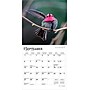 2026 BrownTrout Hummingbirds 7" x 7" Monthly Wall Calendar (9798330703791)~#|#~EEB99E0A-6025-4789-A7E7474F3120F0B1_sc7