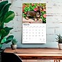 2026 BrownTrout For the Love of Dachshunds 14" x 12" Monthly Wall Calendar (9798330707140)~#|#~EECFB537-0AA8-4E44-931E2F961227490A_sc7