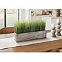 Monarch Specialties Inc. 12" Artificial Grass Plant in Pot (I 9374)~#|#~EEFE5163-5068-444A-A83B5C32AE4F5B4E_sc7