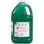 Prang Ready-to-Use Washable Tempera Paint, Green, 128 oz. (22804)~#|#~EFBC59C7-0F89-4D47-97EA9ABC1C2FAFC0_sc7