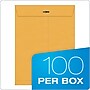 Quality Park Clasp & Moistenable Glue Kraft Catalog Envelopes, 9" x 12", Brown Kraft, 100/Box (QUA37890)~#|#~EFE2F3E9-0C6A-454D-9CF277ED45A199D7_sc7