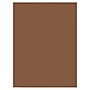 Prang 9" x 12" Construction Paper, Brown, 50 Sheets/Pack (P6703-0001)~#|#~F03B7B74-3F99-443A-813AC227F8CAB5BC_sc7