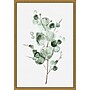 Amanti Art Tender Sprout I (Eucalyptus) by Eva Watts Framed Canvas Wall Art Print, 16" x 23" (A42675040760)~#|#~F08DAFEB-49EC-42F8-B4E16B569940125C_sc7
