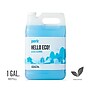 Perk Eco Glass Cleaner Refill, Ready To Use, 1 Gallon (PK611001-A)~#|#~F0AE329D-7931-442E-A8961F1BD78F2EF9_sc7