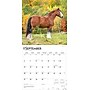 2026 BrownTrout Clydesdales 12" x 12" Monthly Wall Calendar (9798330702954)~#|#~F10AF25A-C2EA-498A-97E4A6C11AC3A9EF_sc7