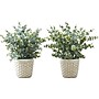 Monarch Specialties Inc. Eucalyptus Grass in Pots, 2/Pack (I 9581)~#|#~F121BE84-29DB-411F-8D691709C4D9CDAA_sc7