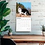 2026 BrownTrout Tuxedo Cats 12" x 12" Monthly Wall Calendar (9798330706068)~#|#~F1CDC3DB-B21A-4D9B-8FFA5FB5812041A5_sc7