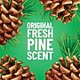 Pine-Sol Disinfecting Multi-Surface Cleaner, Original Pine Scent, 40 fl. oz. (60164)~#|#~F24AE34D-F3F0-42F0-AF328CC77AF7047F_sc7