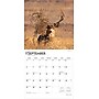 2026 BrownTrout Monster Bucks 12" x 12" Monthly Wall Calendar (9798330704682)~#|#~F26AD9D6-9984-4FD6-900BD9E5BBDF4D40_sc7
