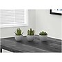 Monarch Specialties Inc. Succulents in Pots, 3/Pack (I 9587)~#|#~F27CE38D-2D68-4415-AD428A79A98C7C2D_sc7