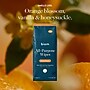 Biom All-Purpose Cleaning Wipes, Assorted Scents, 60 Wipes/Container, 3/Pack (K-60WIP-AP-COM)~#|#~F291AFE4-5254-4931-B5E3848A0FB40048_sc7