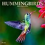 2026 Plato Hummingbirds 12" x 12" Monthly Wall Calendar (9798330706860)~#|#~F2A1FC9D-CD68-444A-892021099CFEF4F3_sc7