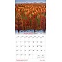 2026 Brush Dance Points of Light 12" x 12" Monthly Wall Calendar (9798330701360)~#|#~F323C855-C89B-44A4-BD1623B8EABD981D_sc7