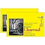 Strathmore 300 Series 11" x 17" Charcoal Sketch Pad, 32 Sheets/Pad, 2/Bundle (STTP3301111-2)~#|#~F40E0F10-8341-4857-A303D490E55E1F89_sc7
