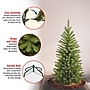 National Tree Company 4' Kingswood Fir Artificial Christmas Tree (KW7-500-40)~#|#~F429719F-8967-49E3-98726CC82035B3B6_sc7