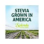 Splenda Stevia Sweetener Packet, 1000/Carton (SP11711001)~#|#~F456B044-BFDC-4DFF-BF57E6C76ABA3532_sc7