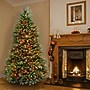 National Tree Company 6.5' Pre-Lit Dunhill Fir Artificial Christmas Tree (DUH-70RLO)~#|#~F486D78C-FEF2-49EA-810472F4336DC9FB_sc7