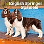 2026 BrownTrout English Springer Spaniels 12" x 12" Monthly Wall Calendar (9798330703227)~#|#~F495C062-426B-4279-A2AAF5E301BC279C_sc7