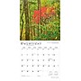 2026 BrownTrout Kentucky Wild & Scenic 12" x 12" Monthly Wall Calendar (9798330704040)~#|#~F4F7ABEE-04E1-4030-8356BDB3C26D4C98_sc7