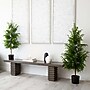 Nearly Natural Artificial Norfolk Pine Tree, 4' (T4708)~#|#~F5071669-9C60-4958-9D75D4DF2BDBF706_sc7