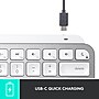 Logitech MX Keys Mini for Mac Wireless Ergonomic Keyboard, Pale Gray (920-010389)~#|#~F5100821-65B7-4273-B810D86785B0AD1A_sc7