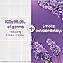 Clorox Scentiva Disinfecting Wipes, Lavender and Jasmine Scent, 75 Wipes/Container (60040)~#|#~F5123011-F146-4FB6-B74B1037A3748786_sc7