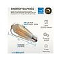 Viribright 5 Watts Warm White LED Decorative Bulb, 6/Box (ST19/641350/6)~#|#~F5B0E4DA-B39B-460F-8BEAD26C6964E415_sc7