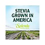 Splenda Stevia Sweetener Packet, 400/Box (SP21700410)~#|#~F5BB4C40-3D95-4158-AF7E30A84E5284A8_sc7