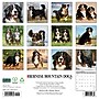 2027 Willow Creek Bernese Mountain Dogs 12" x 12" Monthly Wall Calendar, Assorted Colors (59135)~#|#~F72BA541-2A5C-44CD-9C77551F547F75EA_sc7