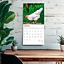2026 BrownTrout Chickens 12" x 12" Monthly Wall Calendar (9798330702909)~#|#~F737B5CB-09F4-46D1-B877CB617F464B87_sc7