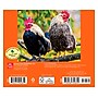 2026 BrownTrout Chickens 6.06" x 5.13" Day-to-Day Calendar (9798330702855)~#|#~F799DF19-E68E-459C-924DAA012A2D7FF7_sc7