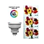 Viribright 4.2 Watts Soft White LED Flood & Spot Bulb, 6/Pack (752147-6)~#|#~F7EA9D11-3F4F-42D6-8405139EEDB143F2_sc7