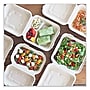 World Centric Plant-Based Hinged Takeout Container, Natural, 300/Carton (WORTOSCU9LFP)~#|#~F81A5EE0-4660-499D-98327B3EFBD20B35_sc7