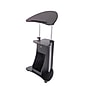 Techni Mobili 22"W Manual Adjustable Standing Laptop Cart, Black (RTA-B005-BK46)~#|#~F82A08A8-41D7-47C3-8E313068D8540D56_sc7