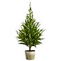 Nearly Natural Cedar Pine Natural Look Artificial Tree in Decorative Planter, 3.5' (T1512)~#|#~F86761BF-F758-46F6-957A73BEB73E6D46_sc7