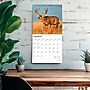 2026 BrownTrout Monster Bucks 12" x 12" Monthly Wall Calendar (9798330704682)~#|#~F928D9DC-1040-4AFB-B2C65A6B841FDD34_sc7