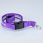 Hang in There Lanyard, 500/Box (IHPROMO20)~#|#~F9A1AD17-EA81-48FC-A129B94D53C1A6BB_sc7