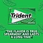 Trident Sugar Free Spearmint Gum, 14 Pieces/Pack, 12 Packs/Box (VAM05017)~#|#~F9B61EEA-E005-45B6-A1216F3E46F7909E_sc7