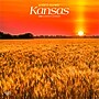 2026 BrownTrout Kansas Wild & Scenic 12" x 12" Monthly Wall Calendar (9798330704026)~#|#~FA62C676-38A1-4560-BF336EA0B16B82CA_sc7