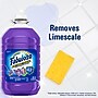Fabuloso Antibacterial Multi-Purpose Cleaner, Lavender Scent, 169 Fl. Oz., 3/Carton (61018224CT)~#|#~FA92DF8E-DE6E-4507-93848DF3EB6C453D_sc7