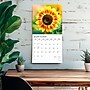 2026 Plato Sunflowers 12" x 12" Monthly Wall Calendar (9798330706655)~#|#~FAB49EAE-BC13-479D-9257EBBA2413B333_sc7
