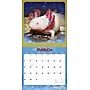 2026 BrownTrout Adorable Axolotl 12" x 12" Monthly Wall Calendar (9798330708079)~#|#~FAC6D8B5-9A3F-4658-B50AF3BAFDEEAAB6_sc7