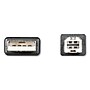 Innovera® USB Cable, 10 ft, Black~#|#~FAF39755-FFE4-4FD6-9751DF15E5785C3E_sc7