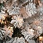 National Tree Company 6' Pre-Lit Acacia Artificial Christmas Tree (AC100-304-60F)~#|#~FB5907DD-F70F-4ED5-94755BF5B8B951E5_sc7