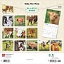 2025 BrownTrout Baby Moo Moos 12" x 12" Monthly Wall Calendar (9781975476588)~#|#~FB93CA7D-E8D9-46AE-AFD05D05FBF5BC3E_sc7