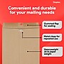 Staples Clasp & Moistenable Glue #10 Catalog Envelope, 9" x 12", Natural Brown, 100/Box (ST19964-CC)~#|#~FBB1D32D-7674-422C-B678CCAE314F702E_sc7
