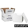 9.5" x 9.5" x 7" Insulated Shipping Kit, White (214C)~#|#~FC032EAB-C95B-49F7-A8D9C913E97847FC_sc7