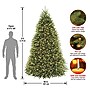 National Tree Company 9' Pre-Lit Dunhill Fir Artificial Christmas Tree (DUH3-300P-90)~#|#~FC15F4E4-7FB4-4E0A-A049FC85F14D361E_sc7