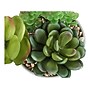 Monarch Specialties Inc. Succulents in Pots, 2/Pack (I 9588)~#|#~FCCFD094-721E-4DE9-B03A10D442F6FD48_sc7